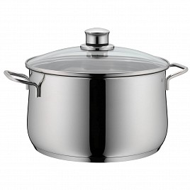 VISOKA POSODA S POKROVOM 24 cm 